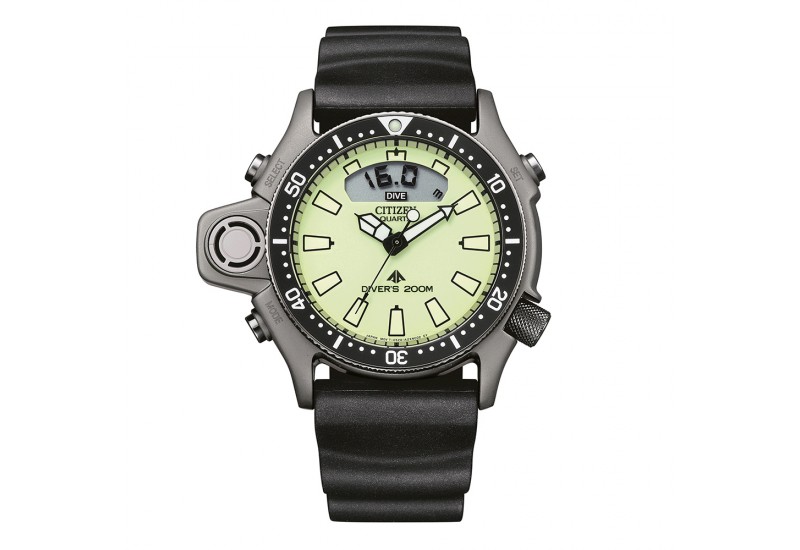 Citizen Promaster